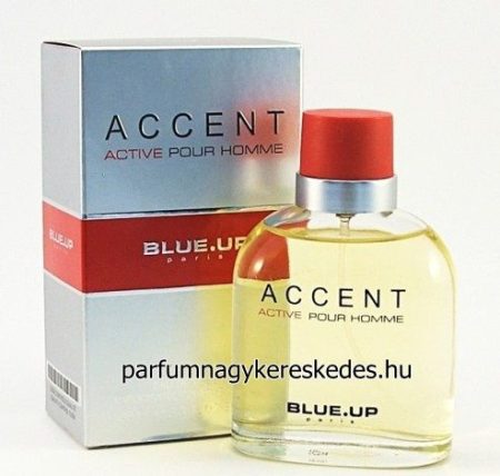 Blue Up Accent Active Homme EDT 100ml